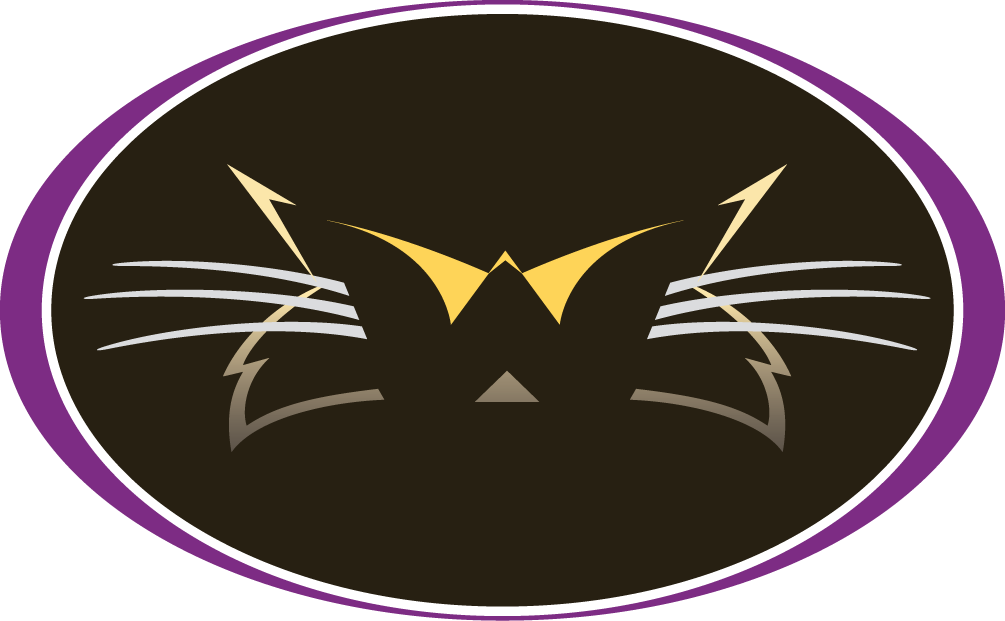 Western Carolina Catamounts 2000-2007 Alternate Logo diy iron on heat transfer